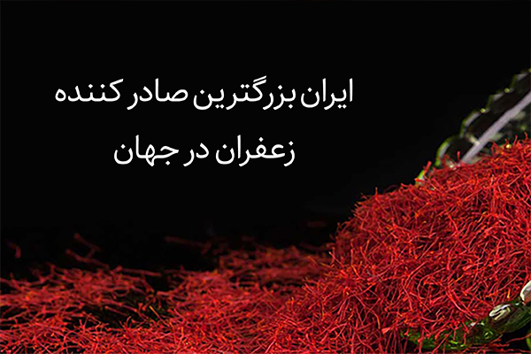 برزگترین صادر کننده طلای سرخ - ایران
